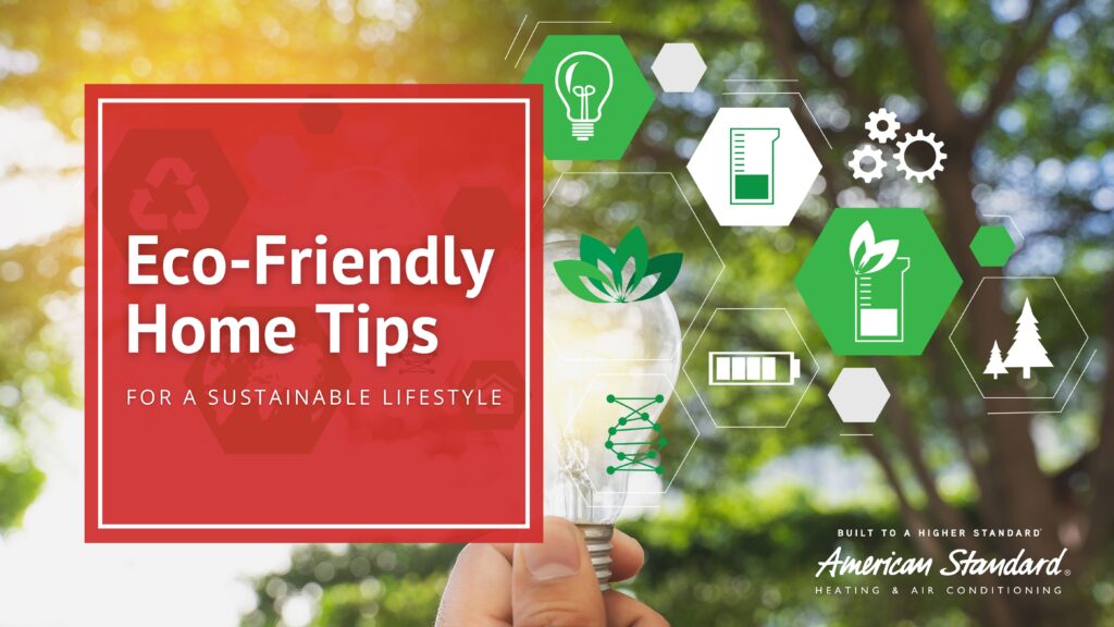 10 Eco-Friendly Home Tips for a Sustainable Lifestyle