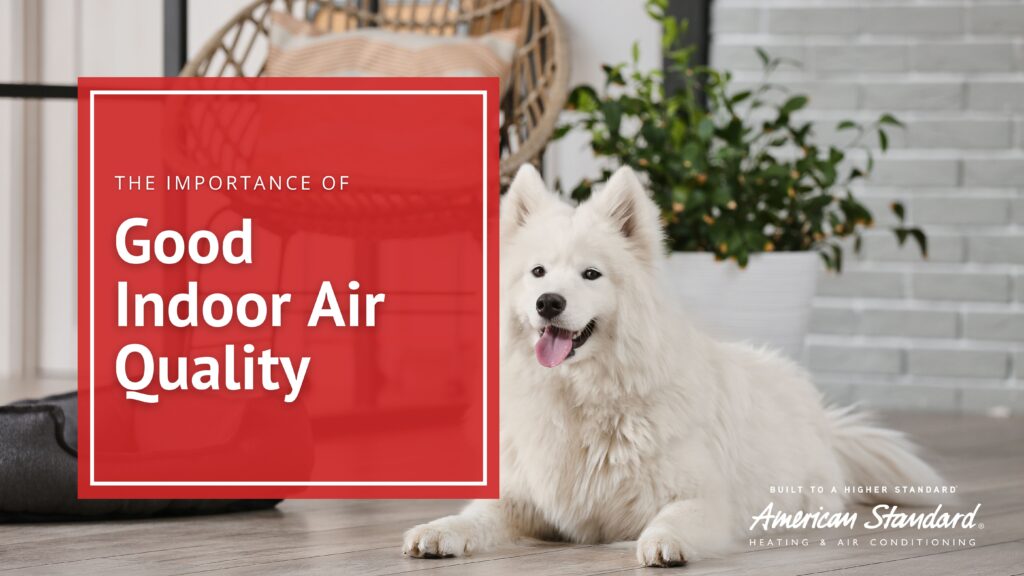 The Importance of Good Indoor Air Quality